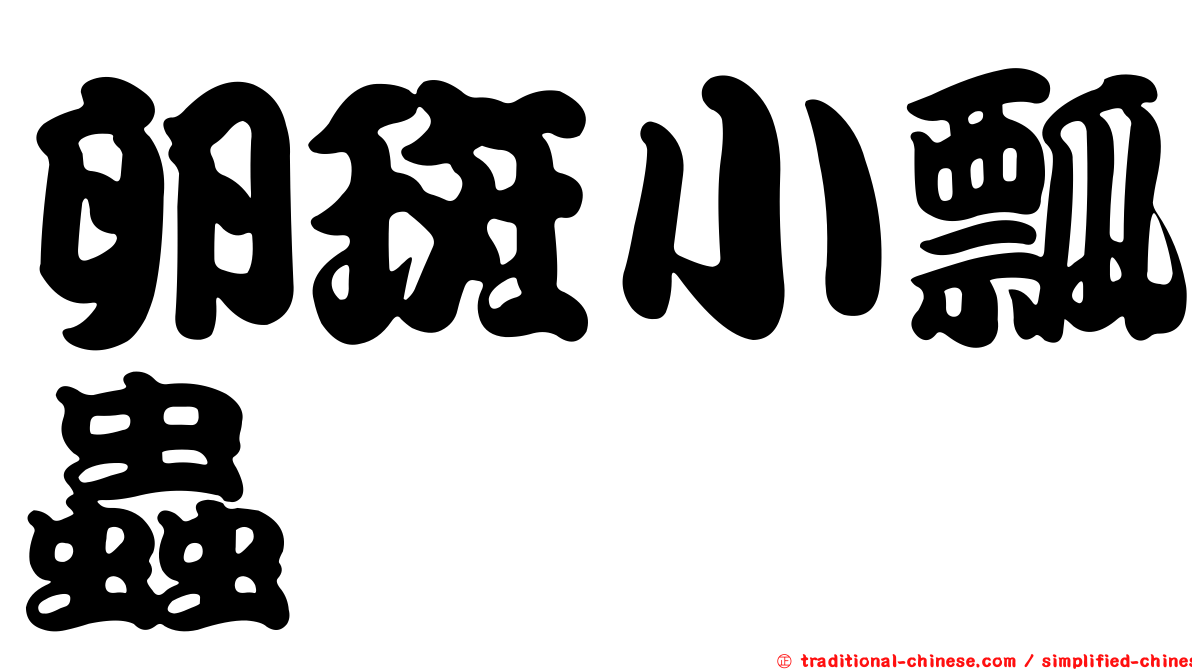 卵斑小瓢蟲