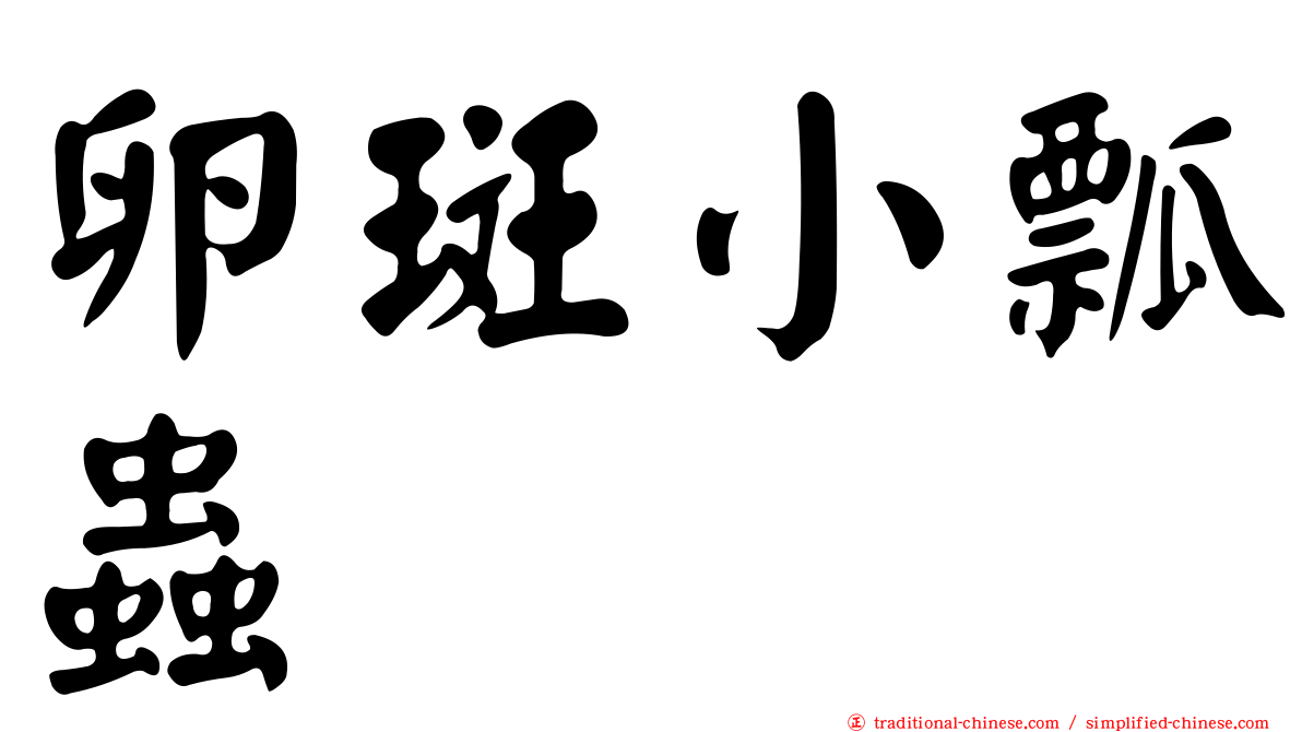卵斑小瓢蟲