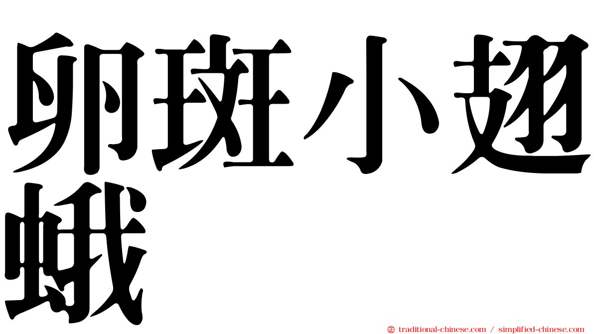 卵斑小翅蛾