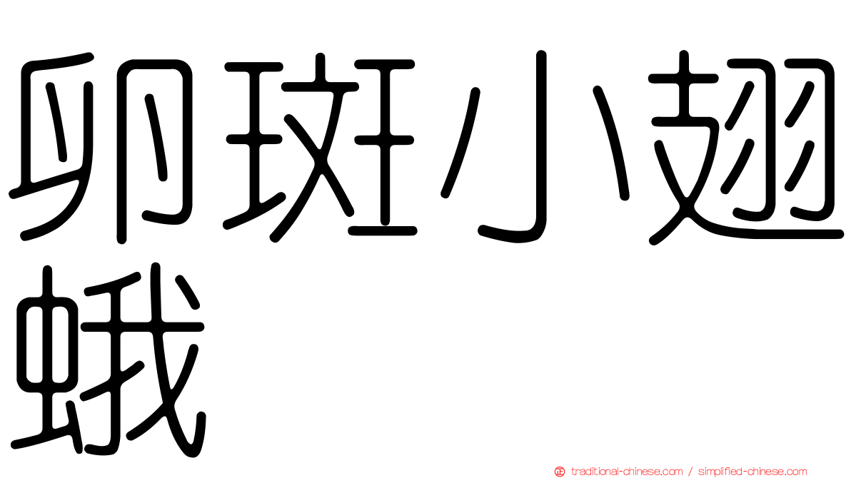 卵斑小翅蛾