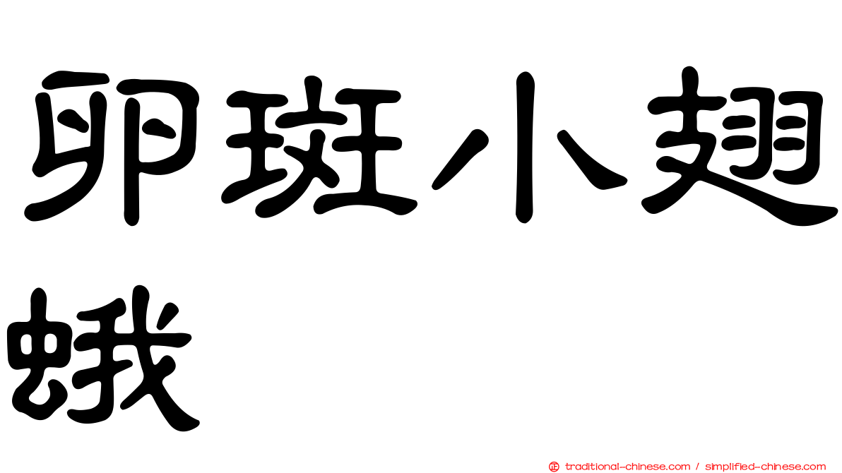 卵斑小翅蛾
