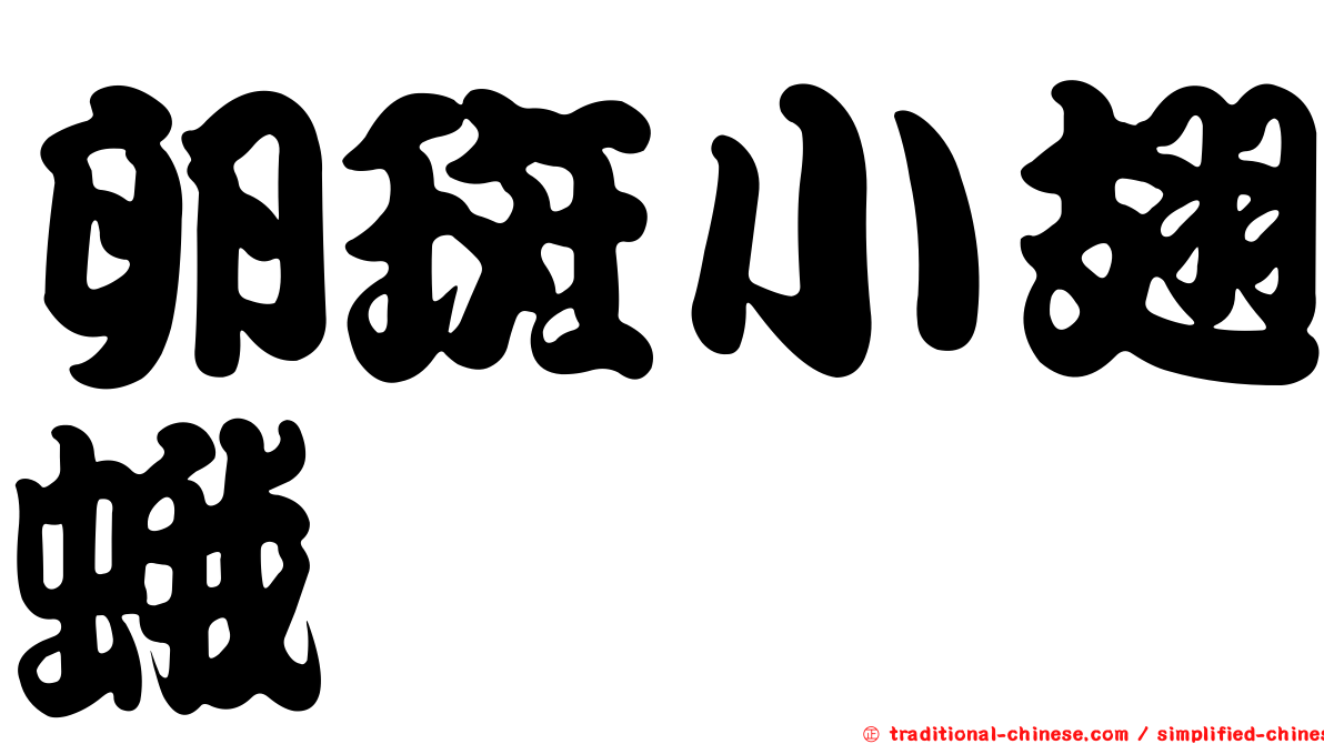 卵斑小翅蛾
