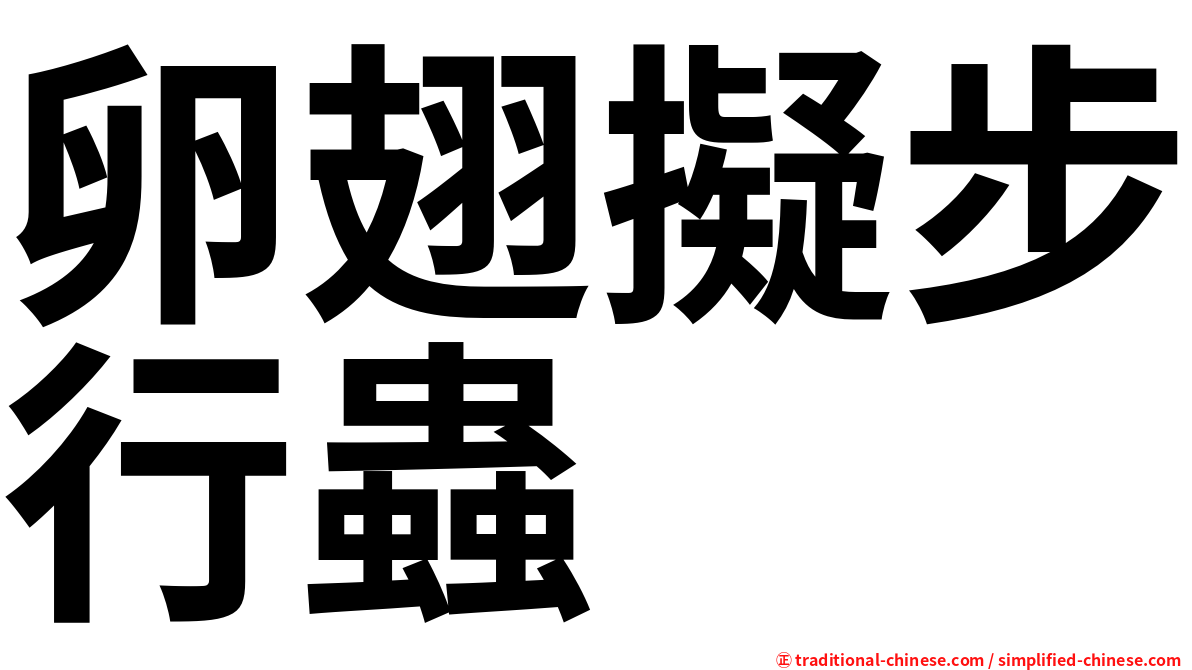 卵翅擬步行蟲