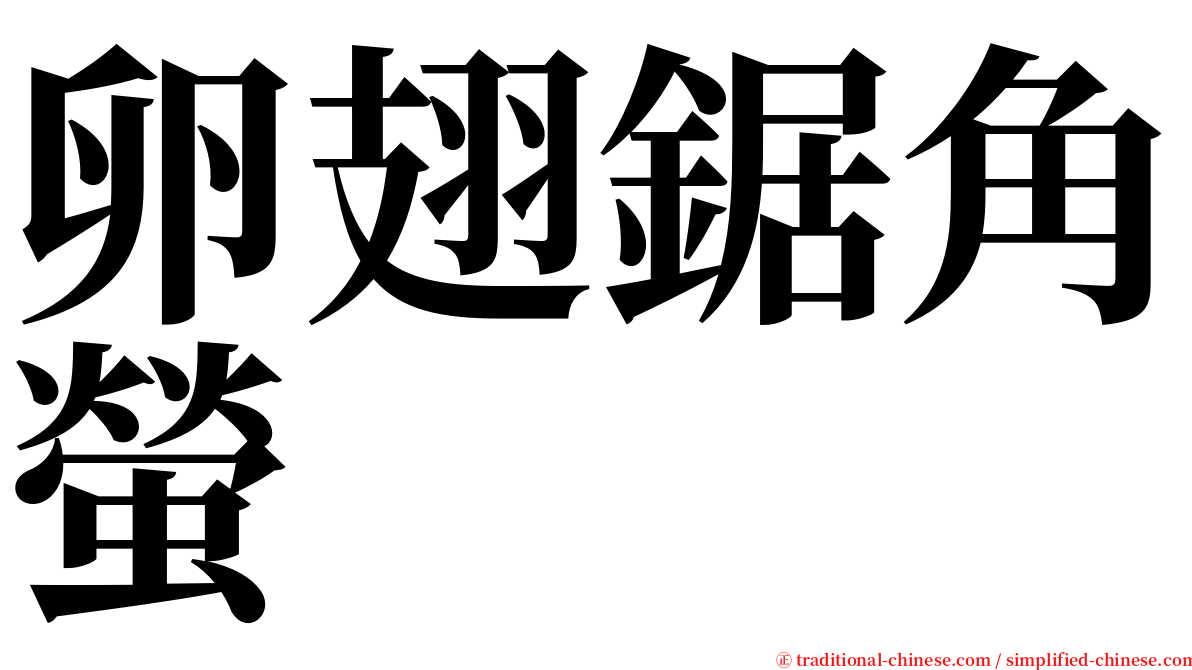 卵翅鋸角螢 serif font