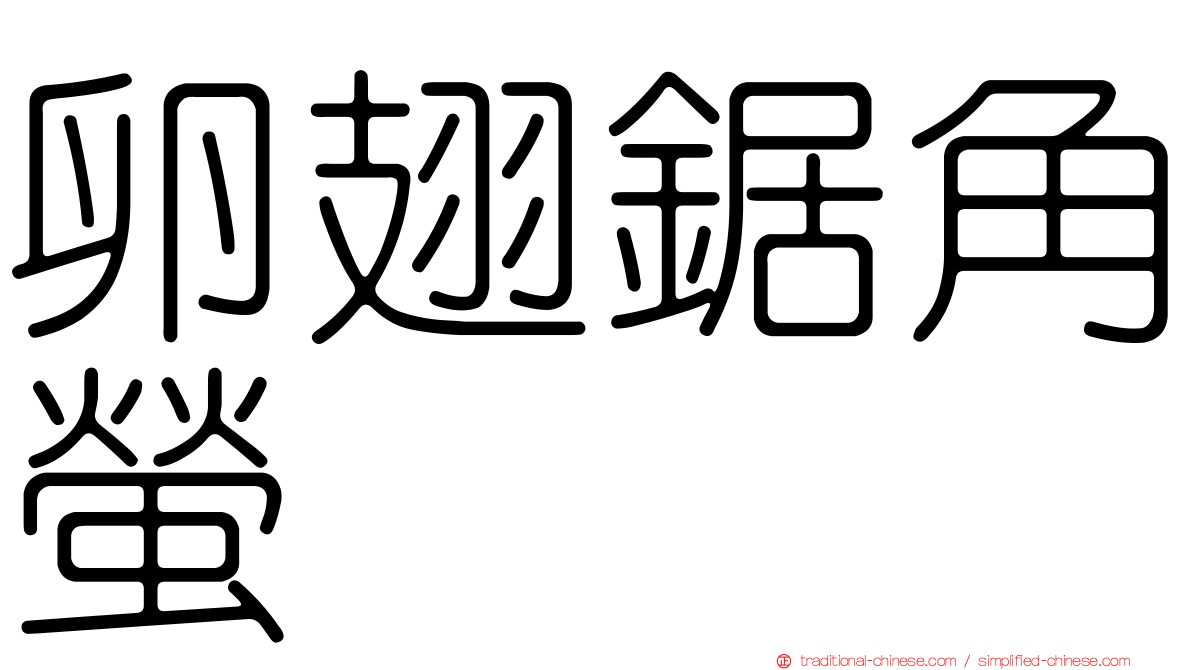 卵翅鋸角螢