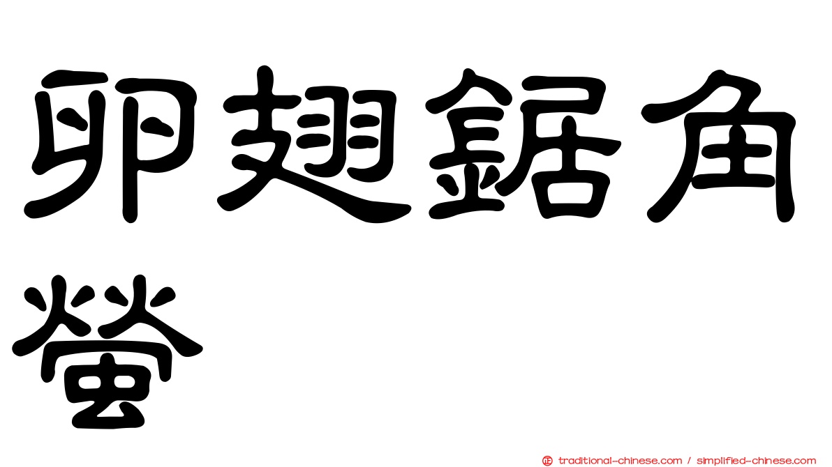 卵翅鋸角螢