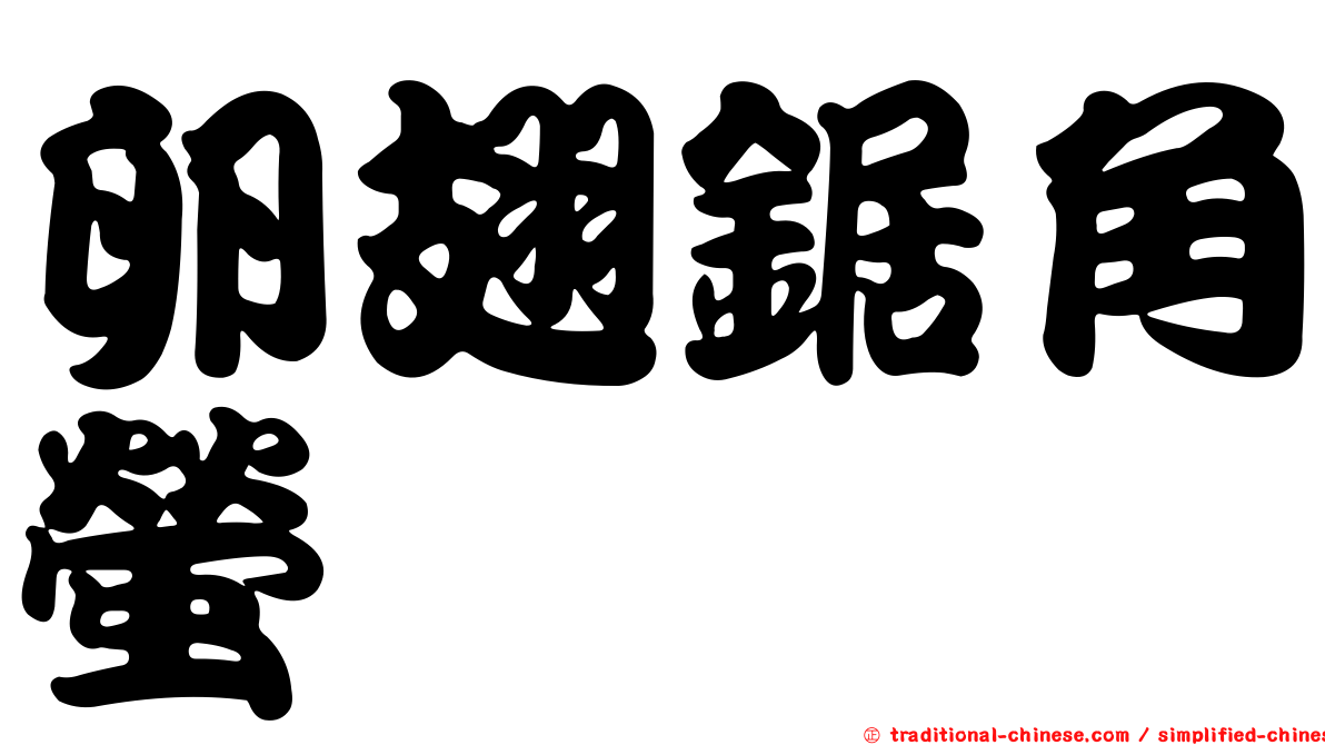 卵翅鋸角螢