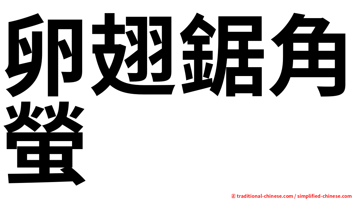 卵翅鋸角螢