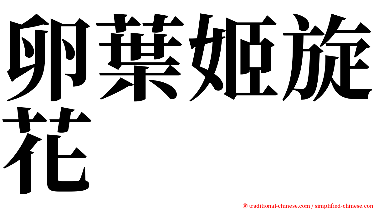 卵葉姬旋花 serif font