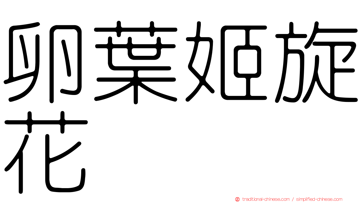 卵葉姬旋花