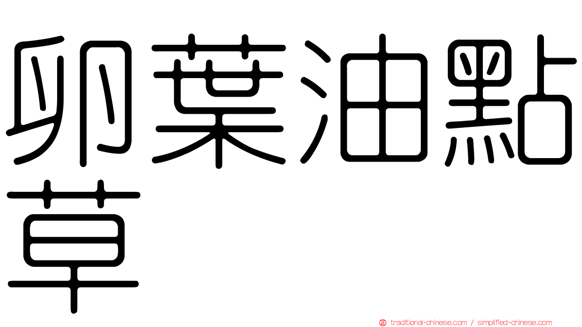 卵葉油點草