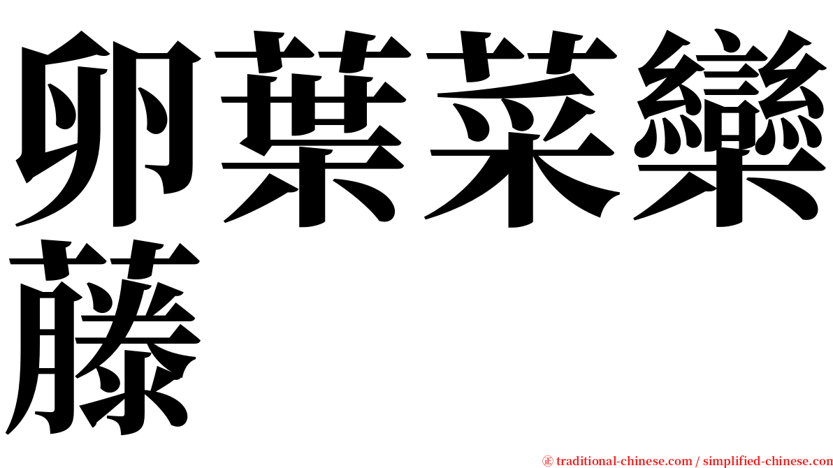 卵葉菜欒藤 serif font