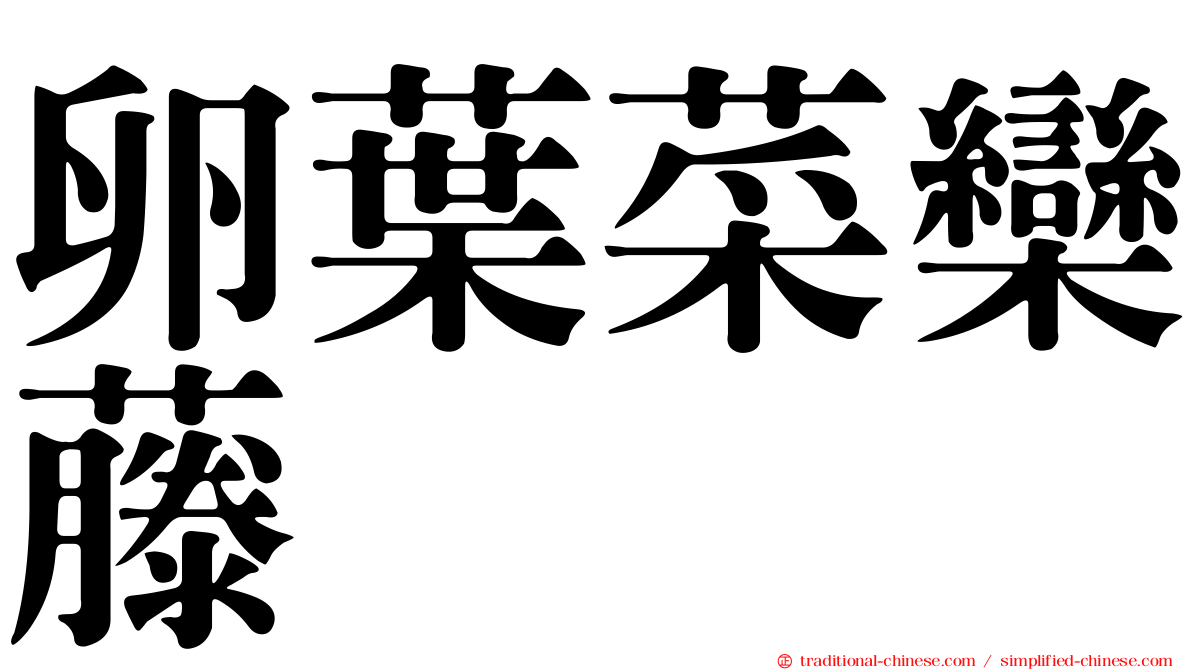 卵葉菜欒藤