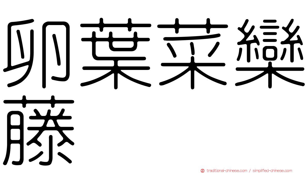 卵葉菜欒藤