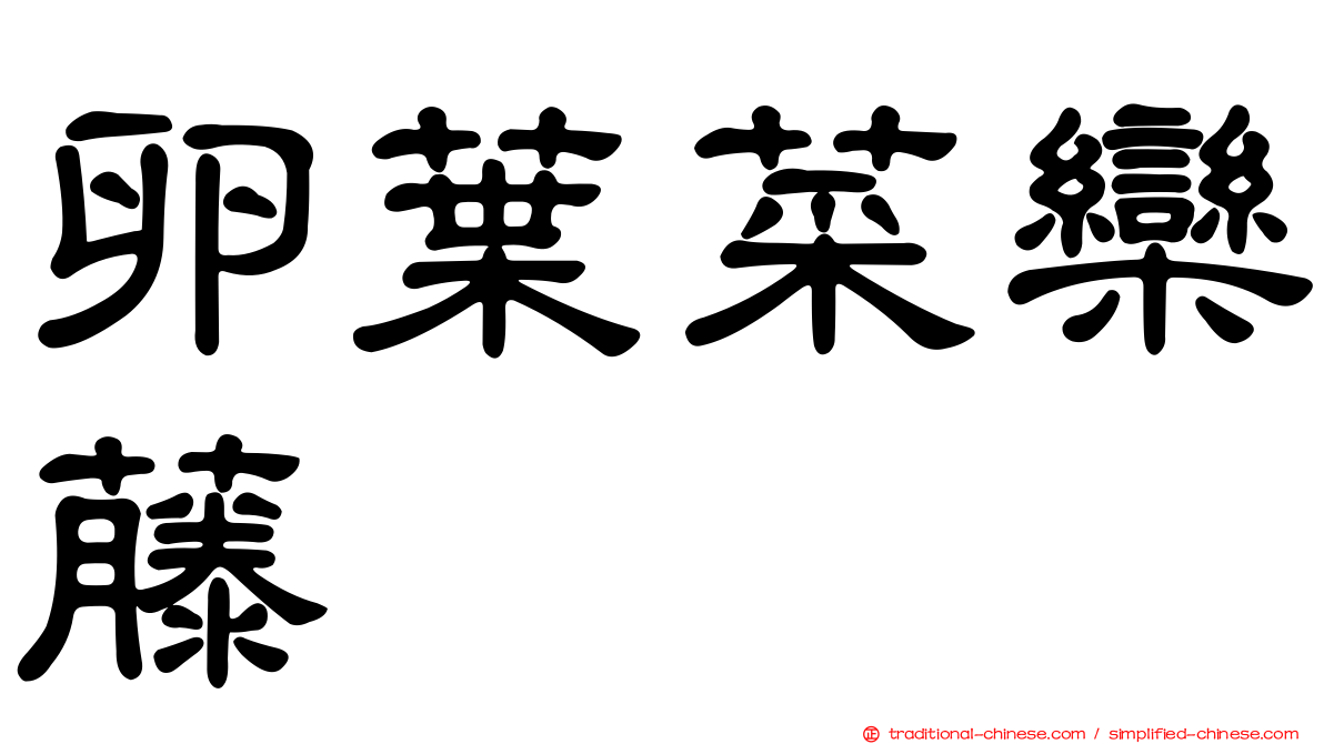 卵葉菜欒藤