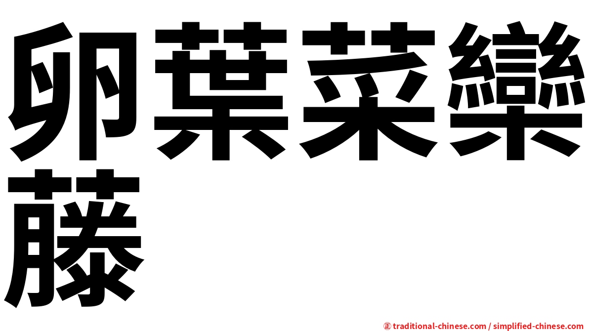 卵葉菜欒藤