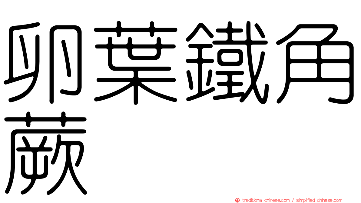 卵葉鐵角蕨