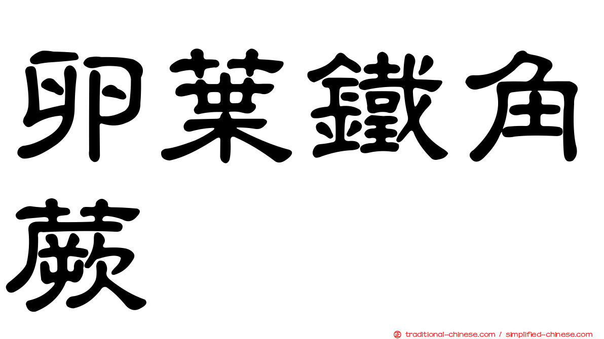 卵葉鐵角蕨