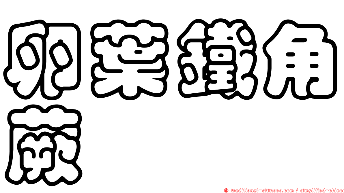 卵葉鐵角蕨