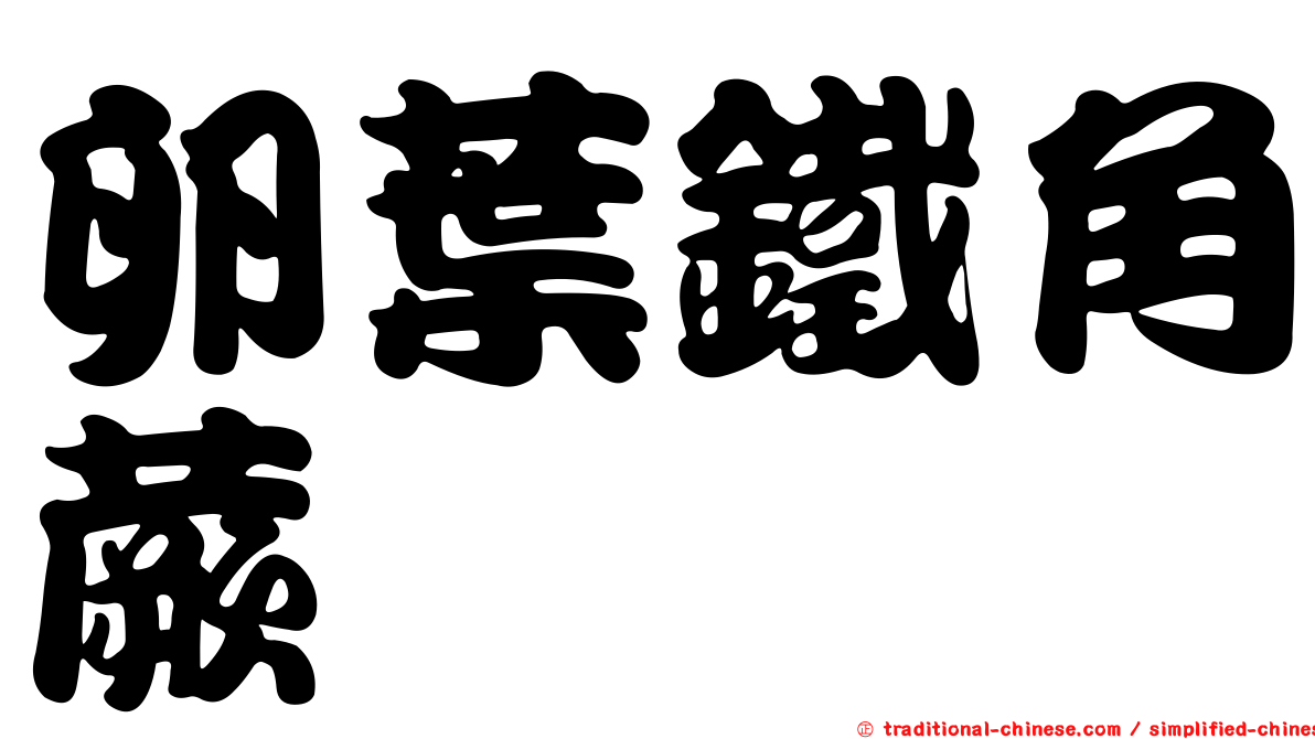 卵葉鐵角蕨