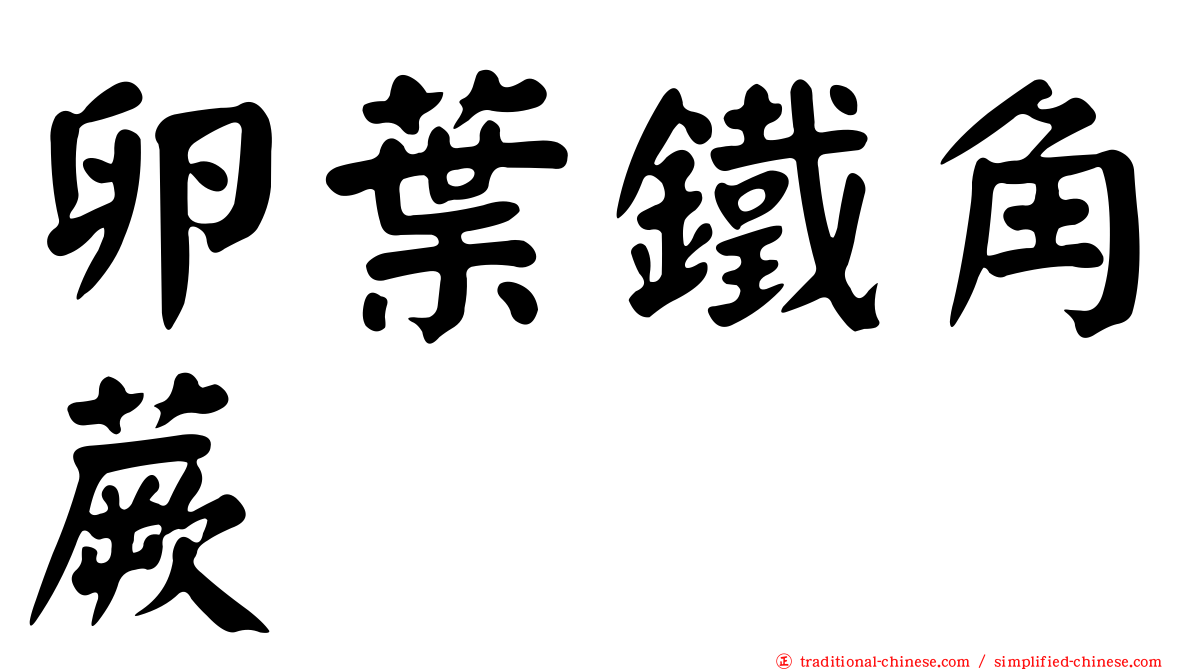 卵葉鐵角蕨