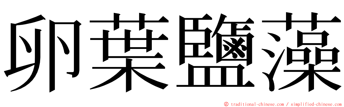 卵葉鹽藻 ming font