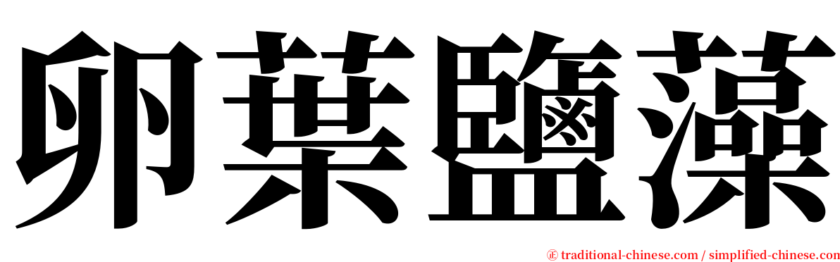 卵葉鹽藻 serif font