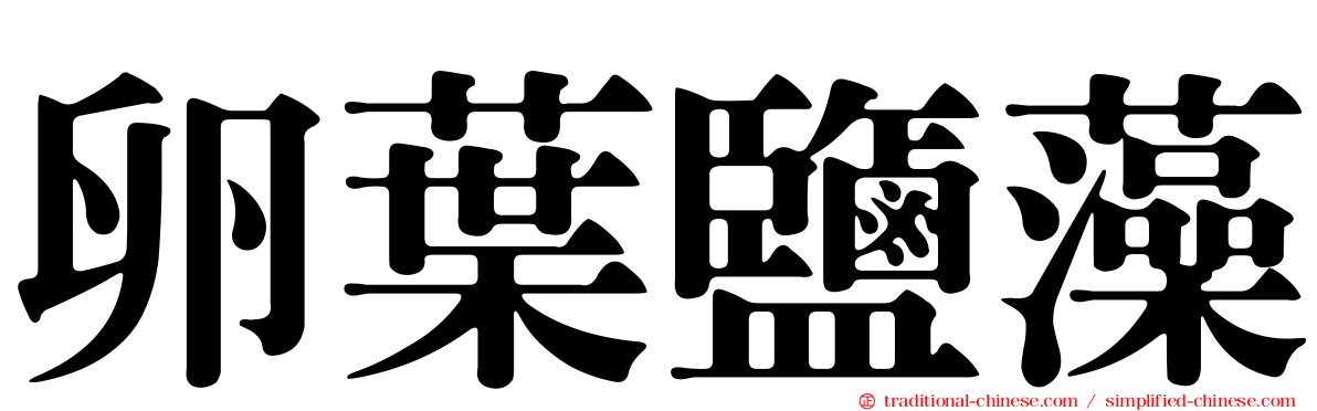 卵葉鹽藻