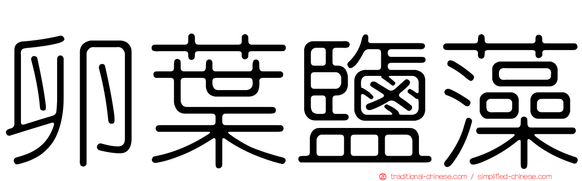 卵葉鹽藻