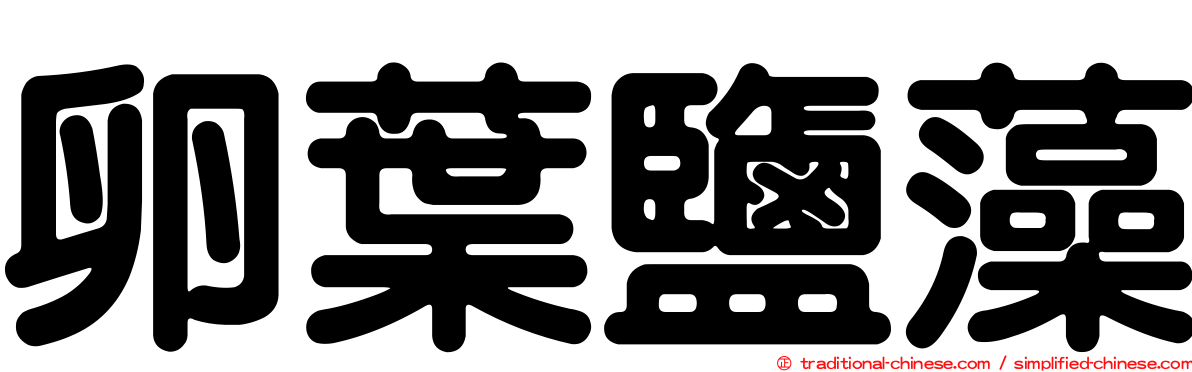 卵葉鹽藻
