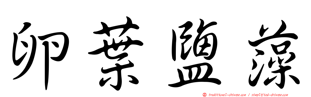 卵葉鹽藻