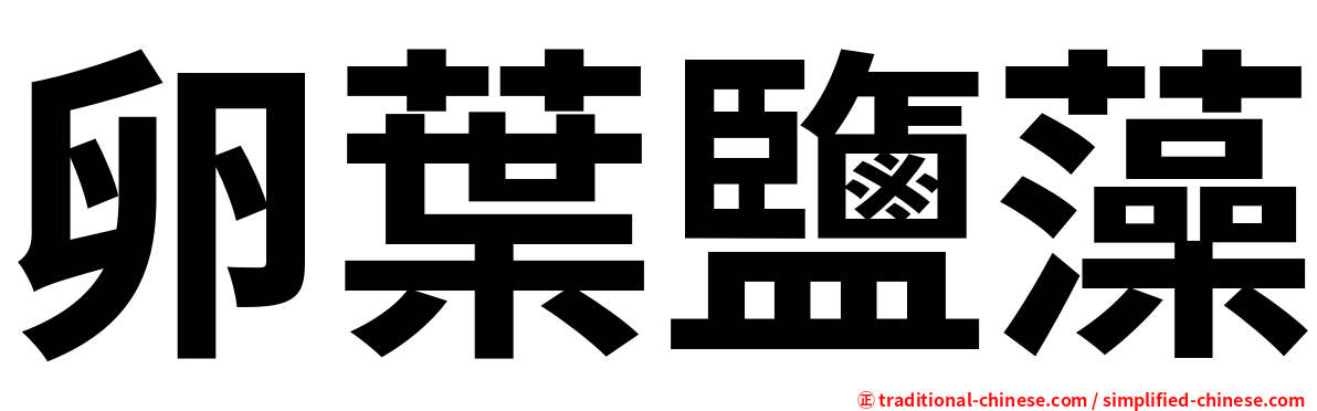 卵葉鹽藻