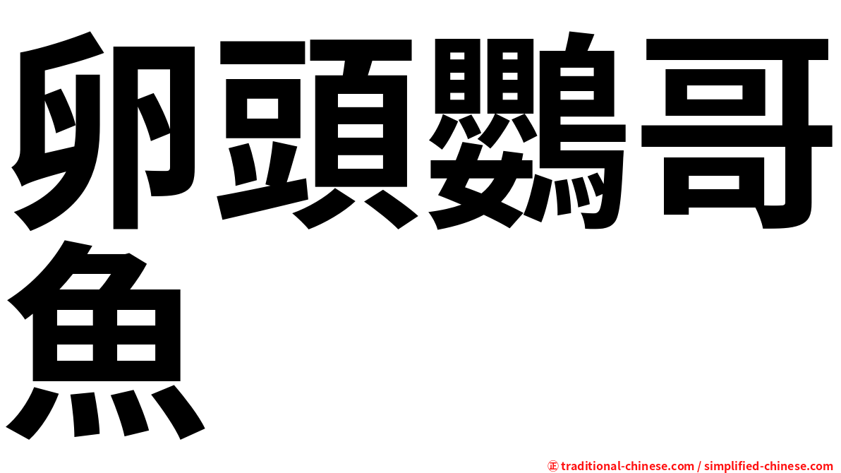 卵頭鸚哥魚