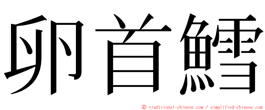 卵首鱈 ming font