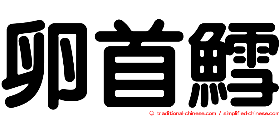 卵首鱈