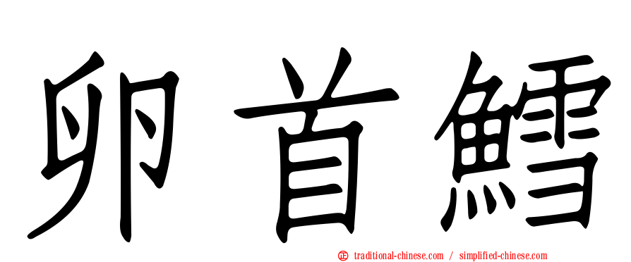 卵首鱈