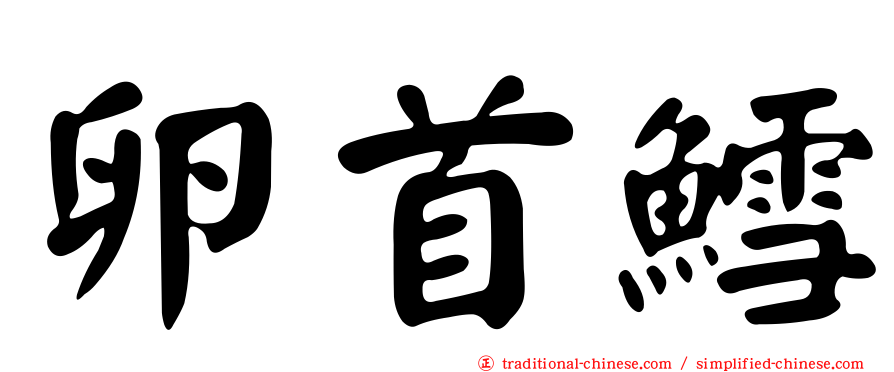 卵首鱈