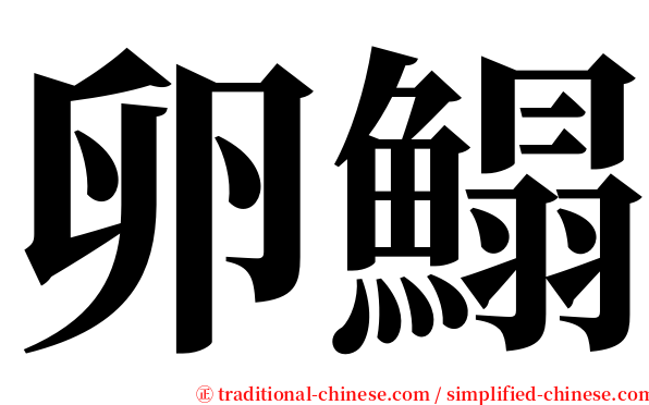 卵鰨 serif font