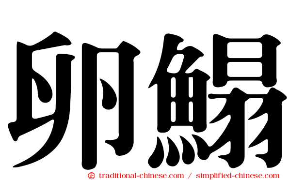 卵鰨