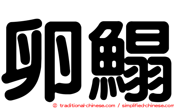 卵鰨