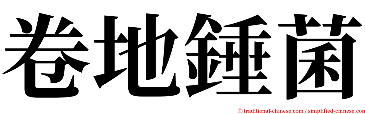 卷地錘菌 serif font