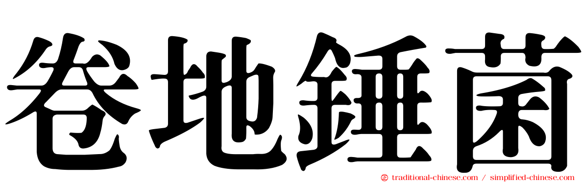 卷地錘菌