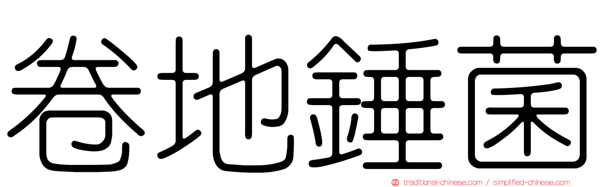 卷地錘菌