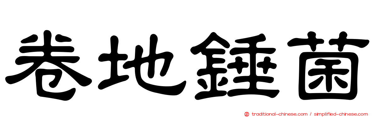 卷地錘菌