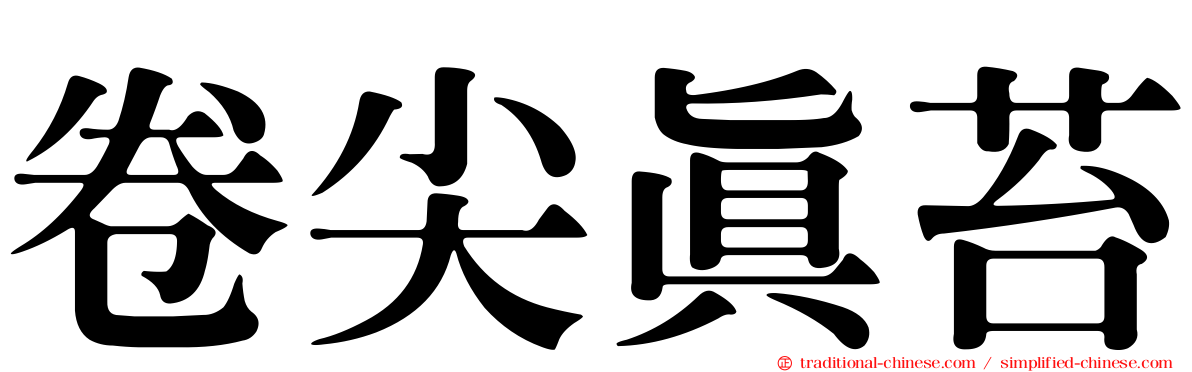 卷尖真苔