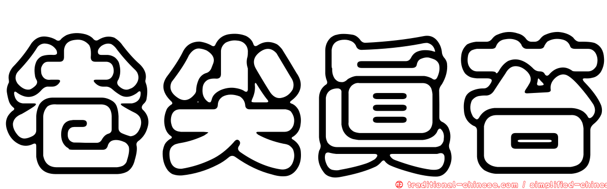 卷尖真苔