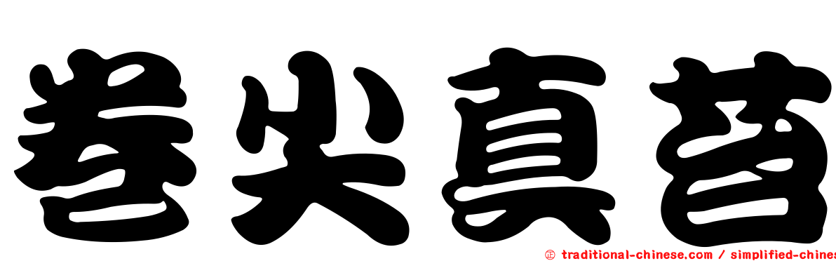 卷尖真苔