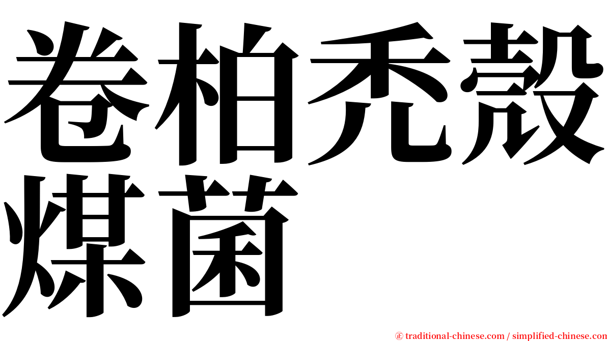 卷柏禿殼煤菌 serif font
