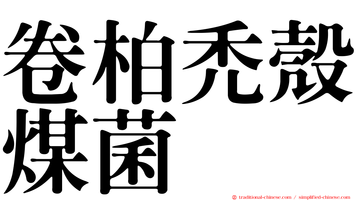 卷柏禿殼煤菌