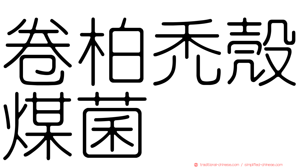 卷柏禿殼煤菌